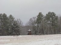 2543.jpg