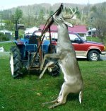 347474-Ricks Deer 003.jpg