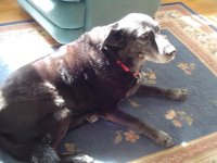 488639-my girl.JPG