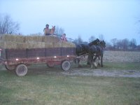 35-90974-haydelivery2small.jpg