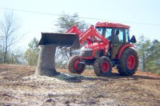 397342-DK55 pushing trunk.jpg