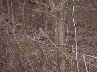349748-MVC-175F.JPG