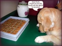 531722-treats (520 x 390).jpg