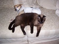 531916-bolus and reggie sm.jpg