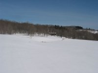 489920-dyker sno 03 past-edit.jpg
