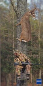 532144-deer_in_a_tree.jpg
