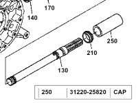 490668-pto_cover.jpg
