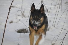 Snow Day 093.jpg