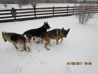 IMG_0067.JPG