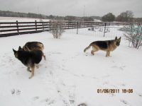 IMG_0068.JPG