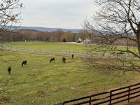 IMG_4276[1].JPG