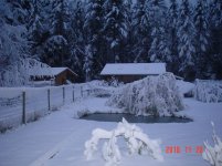 SnowGaots2010 003.jpg