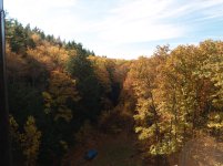 Amy pic of backyard.jpg
