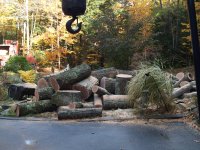 Firewood to cut.jpg