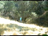 10.06.10 Bear4 comparison.JPG