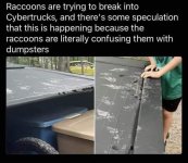 FB_IMG_1732661831876.jpg