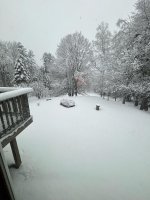 11-28-24.jpg