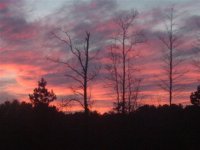 9020_1235032998646_1313824209_663929_7616354_n[1].jpg