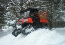 Wilma on a snowbank.jpg