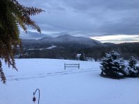 IMG_4280.jpeg