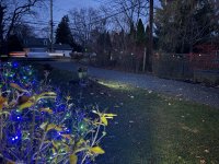 IMG_4286[1].JPG