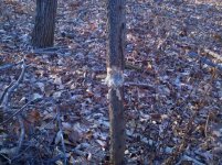 ForumRunner_20101124_172422.jpg