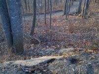 ForumRunner_20101124_172439.jpg