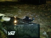 IMG_20101214_184046.jpg
