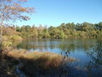 pond november 5 2010 011 small.jpg