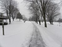 DSCN4660.jpg