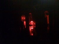 photo 2(4).jpg