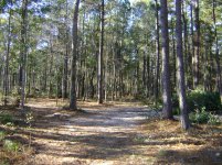 Land 11.30.10 012.jpg