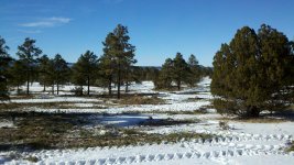 2011-01-04_14-53-30_451.jpgRS.jpg