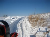 IMG_3724.jpg