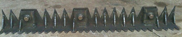 IMAG0087.jpg