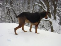 the year of living danously 008.jpg