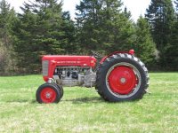 MF 65 1.JPG
