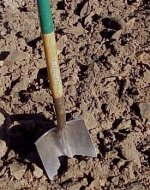 Garden plowing 11-29-10.JPG