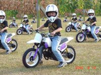 352175-more bikes.jpg