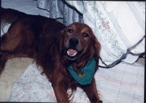 533830-CODY.jpg