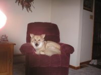 352949-Buddy.JPG