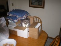 352951-Bubba1.JPG