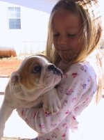 353313-puppy2.jpg