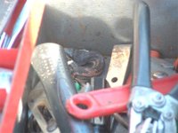 443055-snaketoolbox.jpg