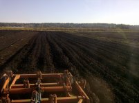 IMG-20110407-00028.jpg