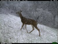 02.26.11 D1.JPG