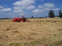 Hay 2010 094.JPG