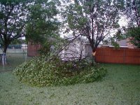 Spring Storm 005.JPG