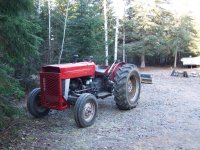 massey 135.jpg