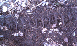 ForumRunner_20110325_173725.png